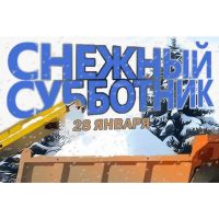 article260.jpg