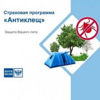article270.jpg