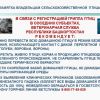 ����� �������� ������ ���������� �������� � �������� �������������