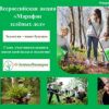 Башкортостан присоединится к Всероссийской экологической акции «Марафон зеленых дел»