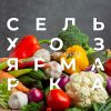 � ��� � �������� ������ ��������������