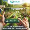 В Башкортостане к тестированию цифровой госсистемы «Мой Сад» присоединились более 200 садовых товариществ