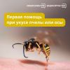 ������ ������ ��� ����� ����� ��� ���